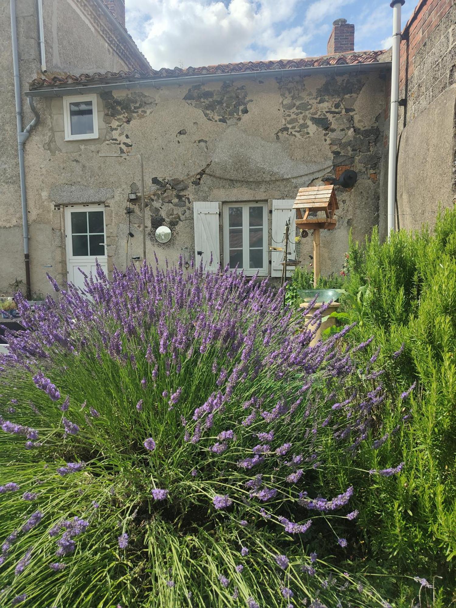 Wisteria House Bed & Breakfast Chanteloup  Exterior photo