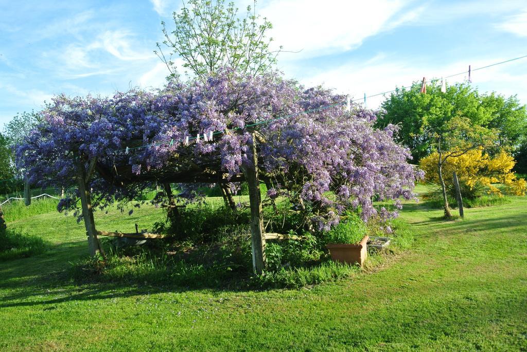 Wisteria House Bed & Breakfast Chanteloup  Exterior photo
